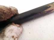 Gasdruckfeder Kofferraum Nissan Primera, P12 2002.01 - 2008.12 90452av700,