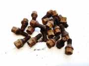 Radbolzen- Radmutter Opel Astra, H 2004.03 - 2009.12 Gebraucht,