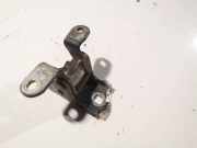 Türscharnier Hinten Opel Insignia A, 2008.01 - 2013.01 Gebraucht,