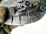 Türinnengriff - Vorne Linke Peugeot 406, 1999.03 - 2004.05 facelift 9642248777,