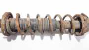 Fahrwerksfeder Hinterachse Rover 200, 1995.10 - 2000.03 Gebraucht,