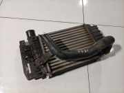 Ladeluftkühler Toyota Yaris, II (XP90) 2005.01 - 2011.01 JD1270000620,JD127000-0620