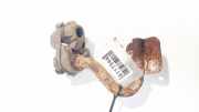 Halter Abgasanlage Citroen C5, II 2008.02 - 2011.01 Gebraucht,