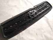 Kühlergrill Frontgrill Kühlergitter Toyota RAV-4, II 2000.09 - 2005.11 Gebraucht,