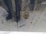 Waschwasserdüse Scheibenreinigung Ford Focus, 2004.11 - 2008.06 Gebraucht,