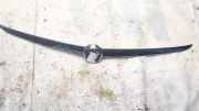 Kennzeichenleuchte Opel Insignia A, 2008.01 - 2013.01 Gebraucht,