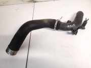 Intercooler Schlauch Dacia Sandero, II 2012.03 --> 144604208r,