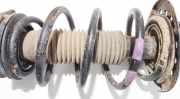 Fahrwerksfeder vorne Nissan Qashqai, I 2006.01 - 2010.06 Gebraucht,