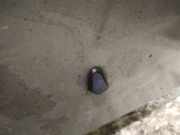 Waschwasserd?se Scheibenreinigung Volvo S60, 2005.01 - 2010.04 facelift Gebraucht,