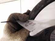 Lenker BMW 5-Series, E39 1995.11 - 2003.06 1095633,