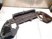 Motor-/Unterfahrschutz vorne Citroen C5, II 2008.02 - 2011.01 9688137680,8688137380