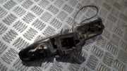 Lampenträger Heckleuchte - Hinten Renault Scenic, II 2003.06 - 2006.06 Gebraucht,