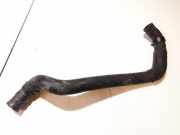 K?hlerschlauch Nissan X-Trail, 2001.06 - 2007.06 Gebraucht,