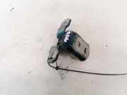 T?rscharnier Vorne Renault Laguna, II 2001.03 - 2006.05 Gebraucht,