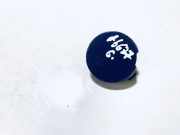 Abdeckung Abschlepphaken - Hinten Renault Clio, 2005.05 - 2009.06 Gebraucht,