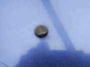 Waschwasserdüse Scheibenreinigung Opel Vectra, B 1995.09 - 2000.09 Gebraucht,