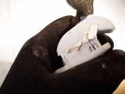 Sonnenblende Volkswagen Bora, 1998.01 - 2005.12 6x0857552, ALH