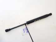 Gasfeder für Motorhaube BMW X5, E53 facelift 2004 - 2006 Gebraucht,