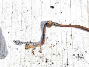 Stabilisator Stabi Hinten Hinterachse Fiat Croma 2005 - 2011 Gebraucht,