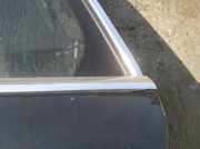 Zierleiste Leiste - Hinten Linke Volkswagen Phaeton, 2002.04 - 2006 Gebraucht, BMK