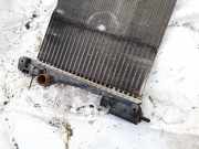 Wasserkühler Fiat Punto, 2005.10 - 2012.03 Gebraucht,