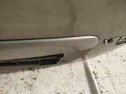 Kennzeichenleuchte Opel Vectra, B 1995.09 - 2000.09 Gebraucht ,