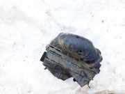 Luftfilterkasten Seat Alhambra, 1996.08 - 2000.05 7M0129607,7M0129 607 7M0129607