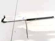 Gasdruckfeder Kofferraum Toyota Yaris, I (XP10) 2003.03 - 2005.09 facelift 689500D010,