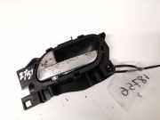 Türinnengriff - Hinten Linke Citroen DS4, I 2010.01 - 2018.12 9800099780,9660525480 9685950377