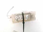 Kennzeichenleuchte Renault Vel Satis, 2002.06 - 2009.12 Gebraucht,