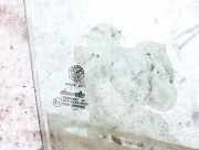 Seitenscheibe - Vorne Rechts Alfa-Romeo 145, I 1994.07 - 1998.12 Gebraucht,