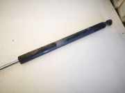 Gasdruckfeder Kofferraum Renault Laguna, II 2001.03 - 2006.05 8200000902B,8200000902B 210189 510189