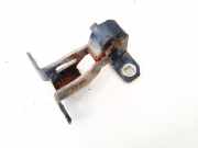 Lang Heckklappe Scharniere Scharnier - Hinten Rechts Dacia Logan, I 2004.09 - 2009.03 Gebraucht,