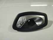 T?rinnengriff - Hinten Rechts Renault Grand Scenic, II 2009.02 - 2013.06 Gebraucht,