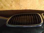 Kühlergrill Frontgrill Kühlergitter BMW 7-Series, E65 E66 E67 E68 2001.11 - 2008.06 left,