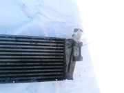 Ladeluftk?hler Renault Scenic, II 2003.06 - 2006.06 8200115540,160130200F01