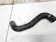 Kühlerschlauch Subaru Legacy, BL, BP 2003.09 - 2009.12 Gebraucht,