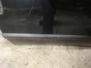 Zierleiste Tür Zier-Schutzleiste - Vorne Rechts Fiat Doblo, 2009.08 --> Gebraucht,