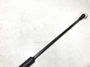 Gasdruckfeder Kofferraum Fiat Brava, 1995.10 - 2002.12 46420780,