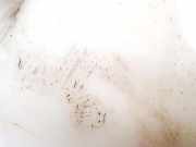 Scheibenwaschbeh?lter Vorne Wischwasserbeh?lter Opel Insignia A, 2008.01 - 2013.01 13227295,401140137