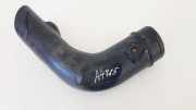 Schlauch für Luftversorgung Renault Megane, III 2008.11 - 2012.06 1032198S01,