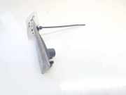 Blinkleuchte Kotflügel - Vorne Rechts Renault Scenic, II 2003.06 - 2006.06 8200027150g,