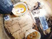 Kraftstoffpumpe BMW 1-Series, E87 E88 2006.11 - 2011.09 facelift 7190943, A2c53215722