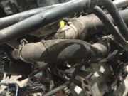 Kühlerschlauch Citroen C5, I 2001.03 - 2008.02 Gebraucht,
