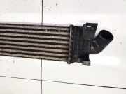 Ladeluftk?hler Ford Focus, 2004.11 - 2008.06 Gebraucht,