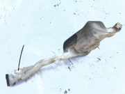 Scheibenwaschbehälter Vorne Wischwasserbehälter Renault Laguna, I 1994.01 - 2001.03 7700821132, 7700821133