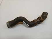 Kühlerschlauch Volkswagen Touareg, 2002.10 - 2007.09 Gebraucht, AXQ