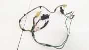Kabelbaum Renault Scenic, I 1999.09 - 2003.06 facelift W963011H,