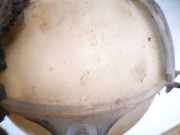 Ausgleichsbehälter Skoda Roomster, I 2006.01 - 2010.05 6q0121407a,