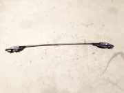 Dachreling Linke Citroen C3 Picasso, I 2009.02 - 2012.06 Gebraucht,